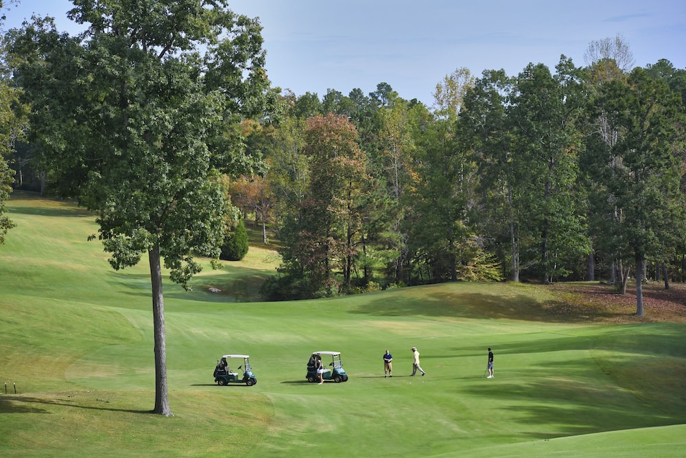 two golf carts on a course.